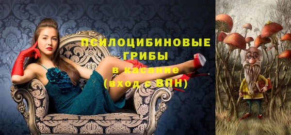 бошки Алексин