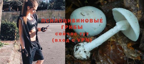 гашик Алексеевка