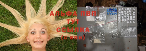 гашик Алексеевка