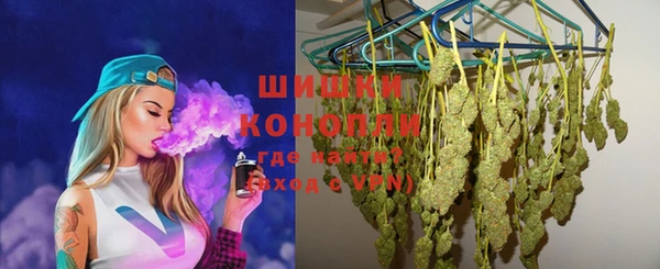 бошки Алексин