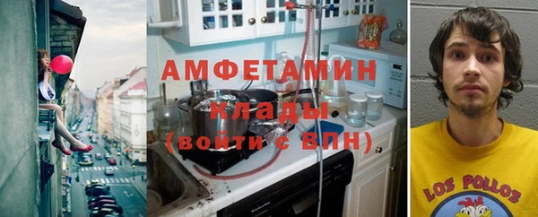 гашик Алексеевка