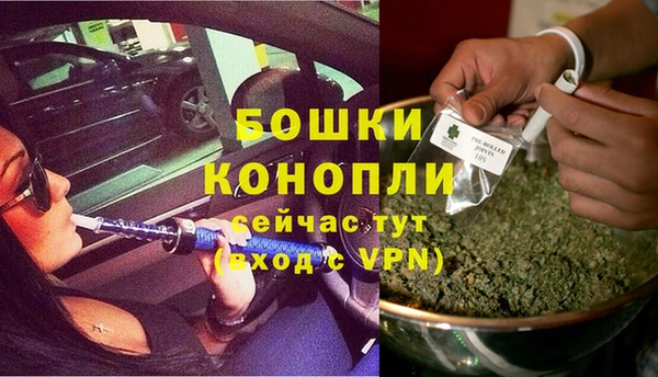 бошки Алексин