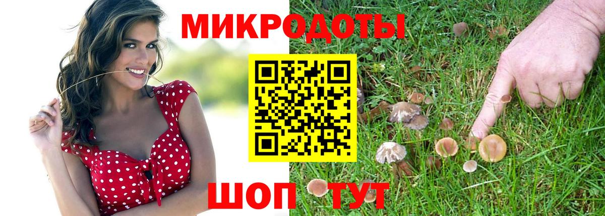 Псилоцибиновые грибы Magic Shrooms  Вход с VPN  Пермь  Галлюциногенные грибы Cubensis 