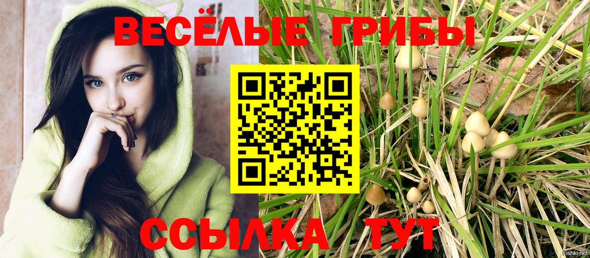 Псилоцибиновые грибы мухоморы Пермь